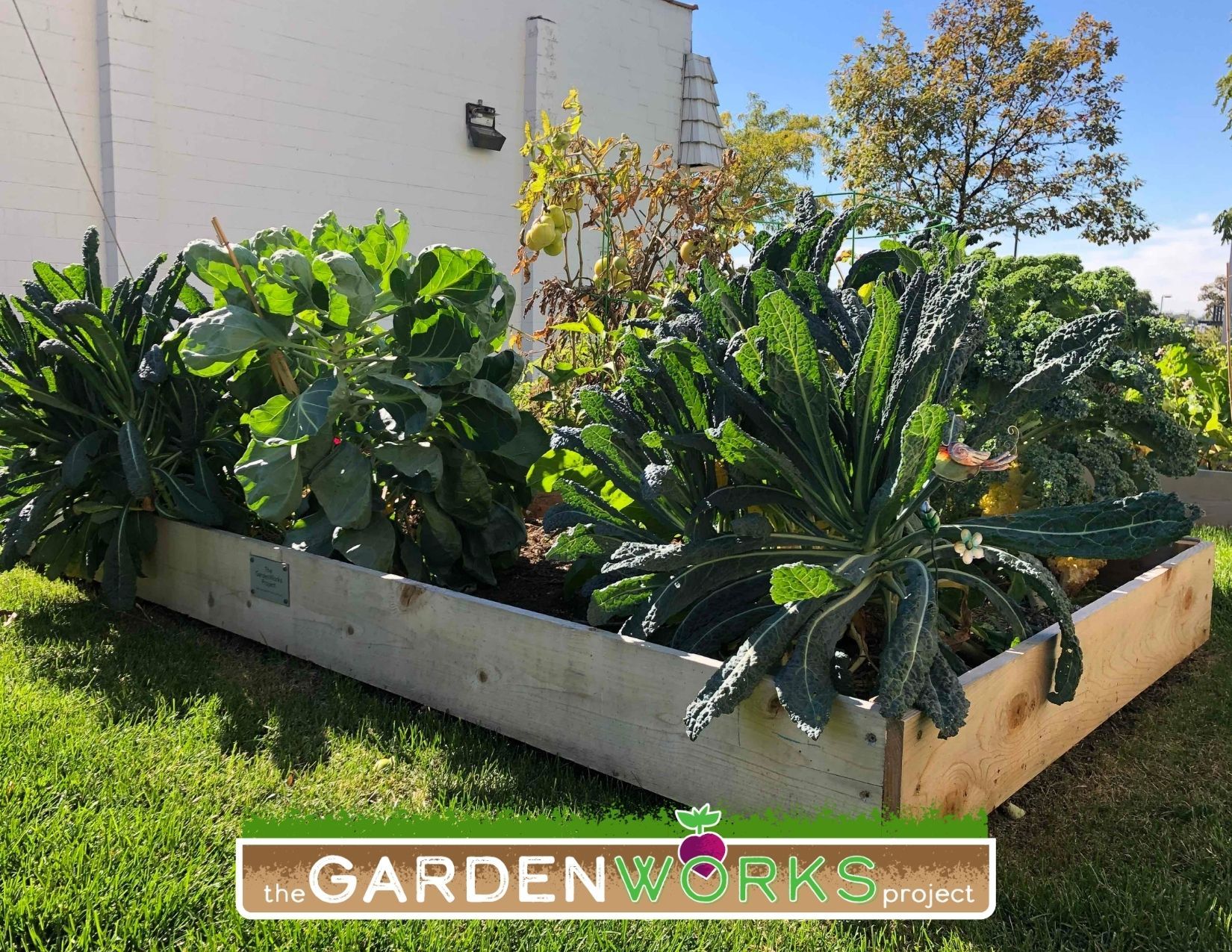 GardenWorks Project Joins Fresh Food Connect